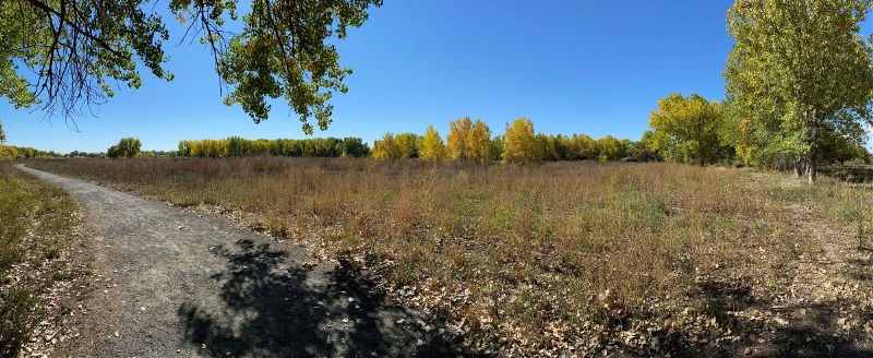 Trail through grassland with trees in the distance