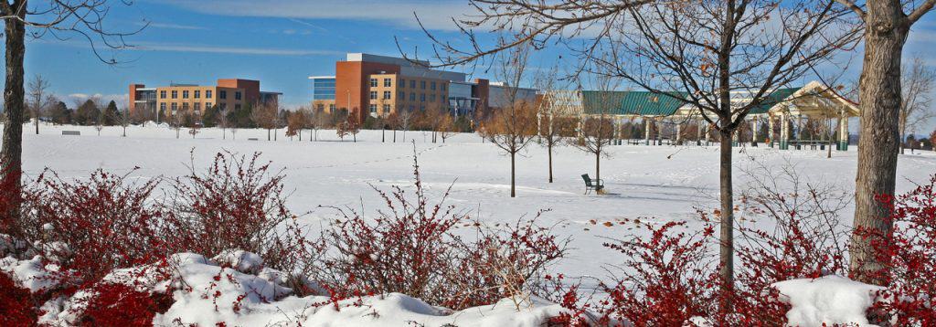 Photo of Promontory development in winter