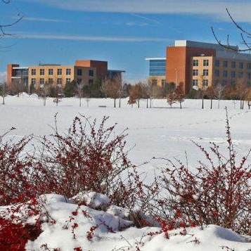 Photo of Promontory development in winter