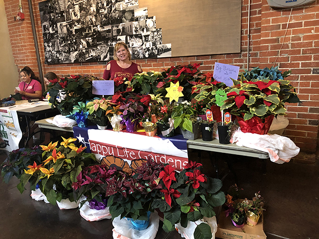 Happy Life-Poinsettias