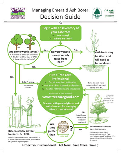 Decision Guide