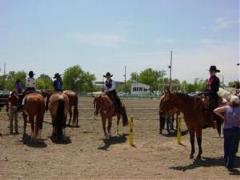 Saddle Club