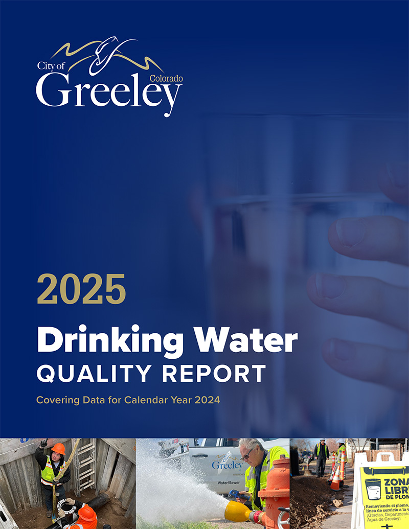 2025 Water Quality Report cover